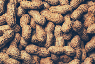 Dineamic Blog | Aussies & Food Allergies